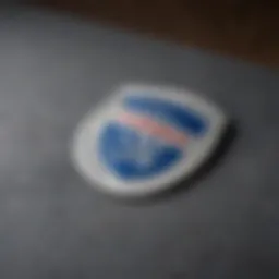 TSA PreCheck logo representation