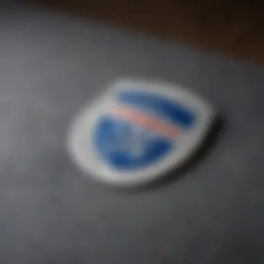 TSA PreCheck logo representation