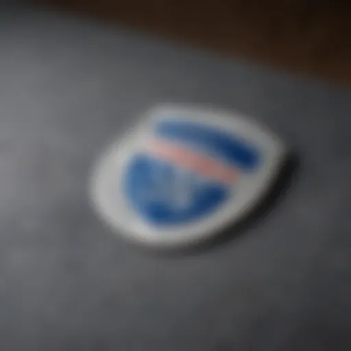 TSA PreCheck logo representation