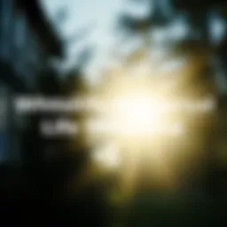 Distinguishing Whole Life and Universal Life Insurance Introduction