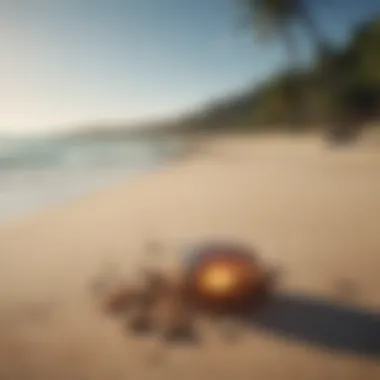 Budget-Friendly Beach Getaway Scenic view of a budget-friendly beach destination
