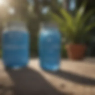Unique Advantages of Florida Blue Supplement Overview of Florida Blue Supplement benefits