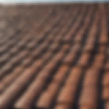 A detailed view of an aging roof with visible damage, highlighting potential risks.