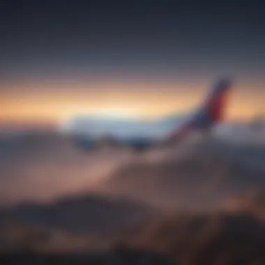 SkyMiles Partnerships Overview Infographic on partnerships to enhance SkyMiles value