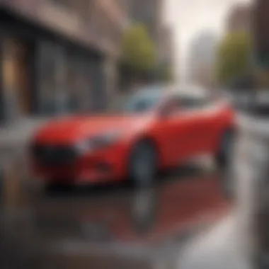 Specialized Auto Insurance Coverage Options Visual of specialized auto insurance options
