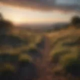 A serene landscape showcasing unimproved land potential.