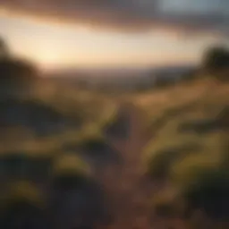 A serene landscape showcasing unimproved land potential.